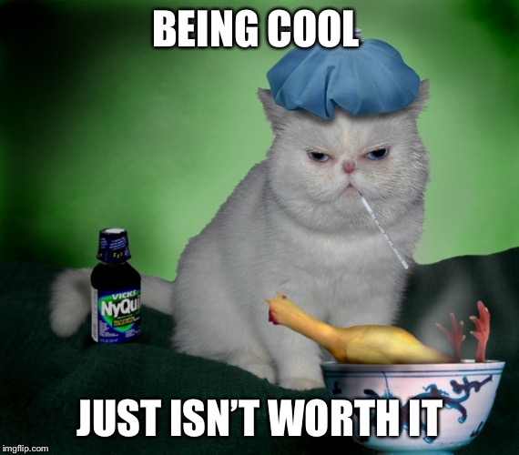 Sick Cat | BEING COOL; JUST ISN’T WORTH IT | image tagged in sick cat | made w/ Imgflip meme maker