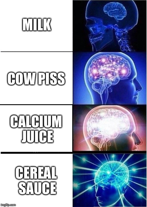Expanding Brain | MILK; COW PISS; CALCIUM JUICE; CEREAL SAUCE | image tagged in memes,expanding brain | made w/ Imgflip meme maker