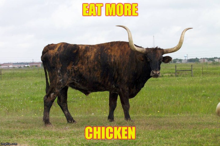 That's Bull | EAT MORE; CHICKEN | image tagged in that's bull | made w/ Imgflip meme maker