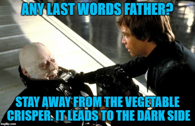 Darth Vader's Last Words | ANY LAST WORDS FATHER? STAY AWAY FROM THE VEGETABLE CRISPER. IT LEADS TO THE DARK SIDE | image tagged in darth vader's last words | made w/ Imgflip meme maker