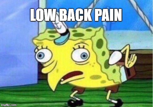 Mocking Spongebob Meme | LOW BACK PAIN | image tagged in memes,mocking spongebob | made w/ Imgflip meme maker