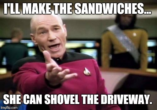 Picard Wtf Meme | I'LL MAKE THE SANDWICHES... SHE CAN SHOVEL THE DRIVEWAY. | image tagged in memes,picard wtf | made w/ Imgflip meme maker