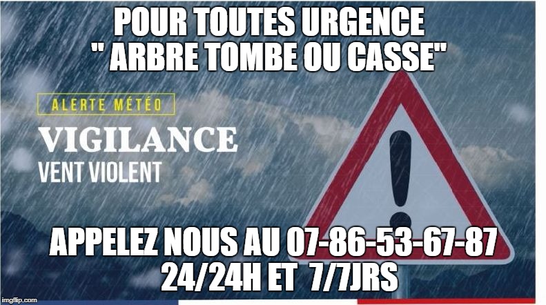 POUR TOUTES URGENCE  " ARBRE TOMBE OU CASSE"; APPELEZ NOUS AU
07-86-53-67-87 
24/24H ET  7/7JRS | image tagged in french storm | made w/ Imgflip meme maker