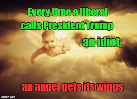 When Liberals call Trump Idiot | Every time a liberal; calls President Trump; an idiot, an angel gets its wings | image tagged in liberals,idiot,trump,angel wings | made w/ Imgflip meme maker