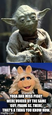 YODA AND MISS PIGGY WERE VOICED BY THE SAME GUY, FRANK OZ. THERE, THAT'S A THING YOU KNOW NOW. | image tagged in miss piggy,yoda | made w/ Imgflip meme maker