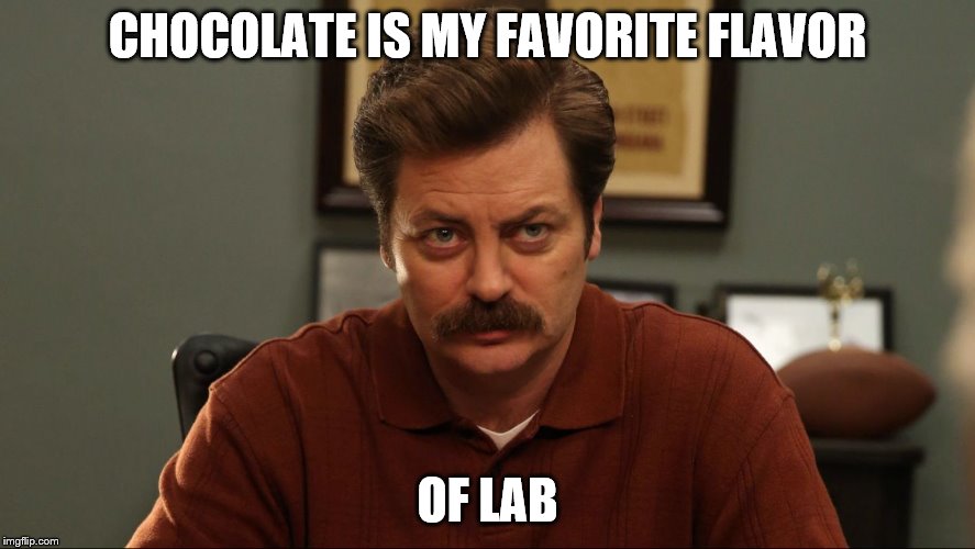 CHOCOLATE IS MY FAVORITE FLAVOR OF LAB | made w/ Imgflip meme maker