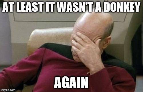 Captain Picard Facepalm Meme | AT LEAST IT WASN'T A DONKEY AGAIN | image tagged in memes,captain picard facepalm | made w/ Imgflip meme maker
