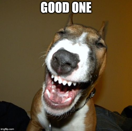 laughing dog | GOOD ONE | image tagged in laughing dog | made w/ Imgflip meme maker