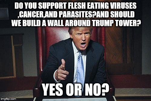 Donald Trump You're Fired | DO YOU SUPPORT FLESH EATING VIRUSES ,CANCER,AND PARASITES?AND SHOULD WE BUILD A WALL AROUND TRUMP TOWER? YES OR NO? | image tagged in donald trump you're fired | made w/ Imgflip meme maker