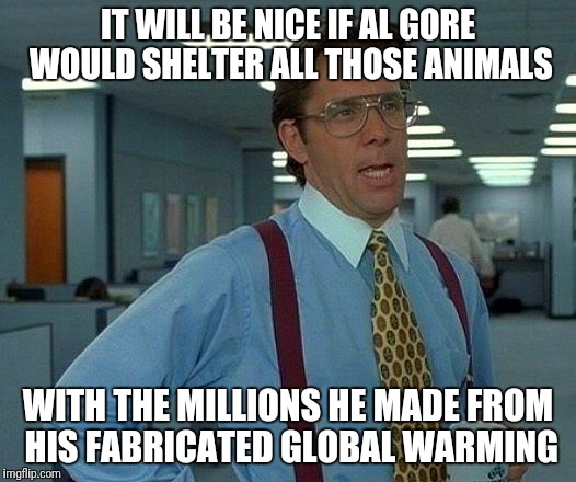 That Would Be Great Meme | IT WILL BE NICE IF AL GORE WOULD SHELTER ALL THOSE ANIMALS WITH THE MILLIONS HE MADE FROM HIS FABRICATED GLOBAL WARMING | image tagged in memes,that would be great | made w/ Imgflip meme maker