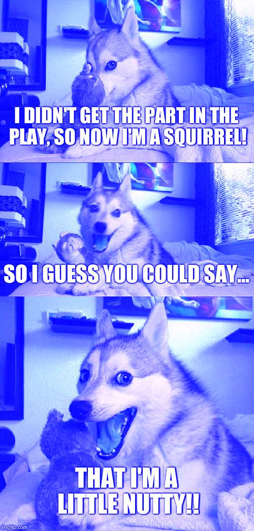 Bad Pun Dog | I DIDN'T GET THE PART IN THE PLAY, SO NOW I'M A SQUIRREL! SO I GUESS YOU COULD SAY... THAT I'M A LITTLE NUTTY!! | image tagged in memes,bad pun dog | made w/ Imgflip meme maker