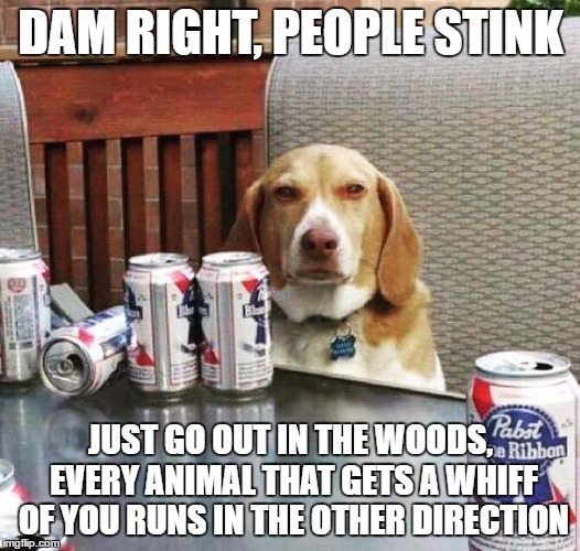 DAM RIGHT, PEOPLE STINK JUST GO OUT IN THE WOODS, EVERY ANIMAL THAT GETS A WHIFF OF YOU RUNS IN THE OTHER DIRECTION | made w/ Imgflip meme maker