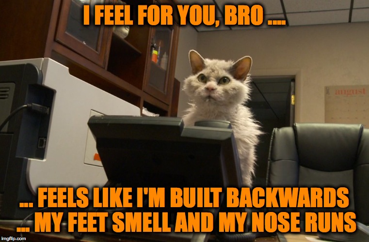 I FEEL FOR YOU, BRO .... ... FEELS LIKE I'M BUILT BACKWARDS ... MY FEET SMELL AND MY NOSE RUNS | made w/ Imgflip meme maker