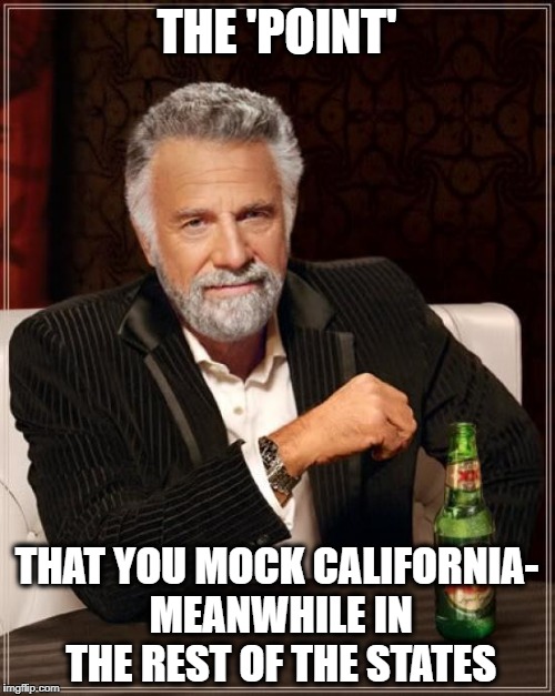 The Most Interesting Man In The World Meme | THE 'POINT' THAT YOU MOCK CALIFORNIA- MEANWHILE IN THE REST OF THE STATES | image tagged in memes,the most interesting man in the world | made w/ Imgflip meme maker