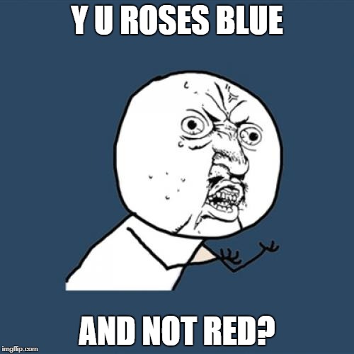 Y U No Meme | Y U ROSES BLUE AND NOT RED? | image tagged in memes,y u no | made w/ Imgflip meme maker