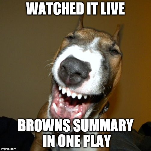 laughing dog | WATCHED IT LIVE BROWNS SUMMARY IN ONE PLAY | image tagged in laughing dog | made w/ Imgflip meme maker