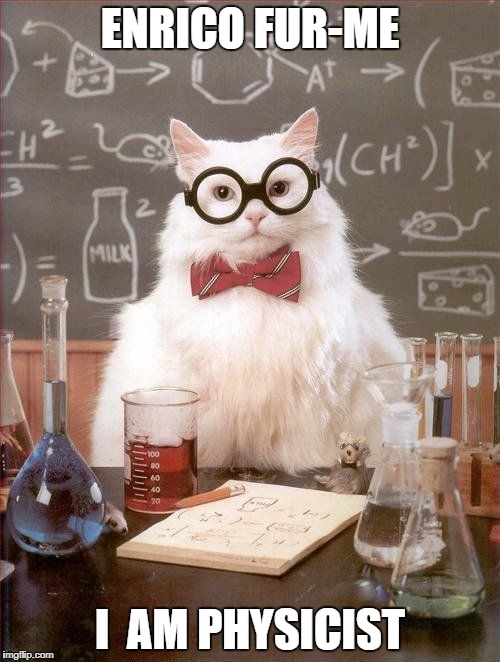 Science cat | ENRICO FUR-ME; I  AM PHYSICIST | image tagged in science cat | made w/ Imgflip meme maker