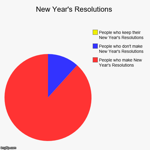 Which one are you? | image tagged in funny,pie charts,new years,new years resolutions | made w/ Imgflip chart maker