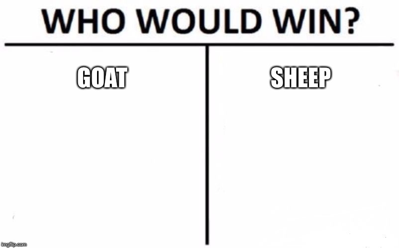 Who Would Win? Meme | GOAT; SHEEP | image tagged in memes,who would win | made w/ Imgflip meme maker