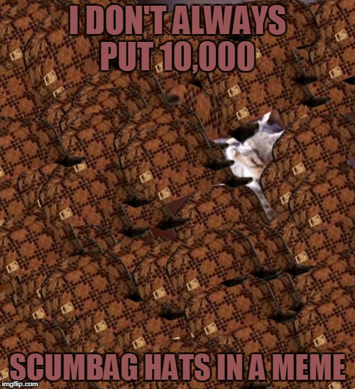 Layer upon layer of hats, yes, I counted. Happy New Year World | I DON'T ALWAYS PUT 10,000; SCUMBAG HATS IN A MEME | image tagged in swag cat,scumbag | made w/ Imgflip meme maker