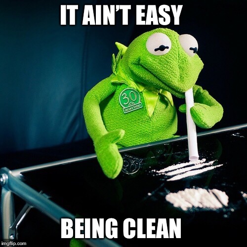 Celebrity is a hard road to travel alone  | IT AIN’T EASY; BEING CLEAN | image tagged in kermit cocaine,green,party,funny meme,muppets | made w/ Imgflip meme maker