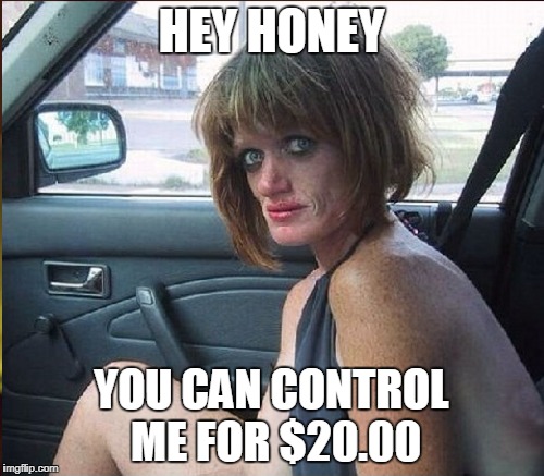 HEY HONEY YOU CAN CONTROL ME FOR $20.00 | made w/ Imgflip meme maker