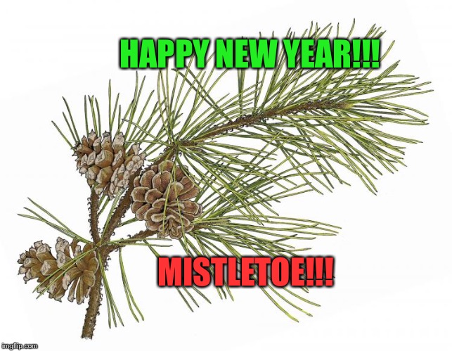 Happy new year 2018 | HAPPY NEW YEAR!!! MISTLETOE!!! | image tagged in happy new year,mistletoe | made w/ Imgflip meme maker