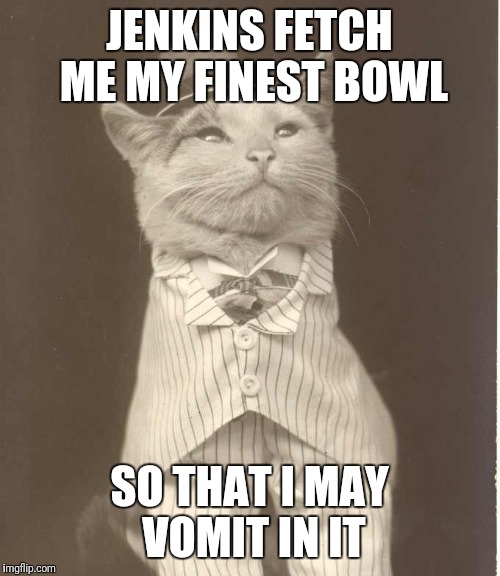 Jenkins Cat | JENKINS FETCH ME MY FINEST BOWL; SO THAT I MAY VOMIT IN IT | image tagged in jenkins cat | made w/ Imgflip meme maker