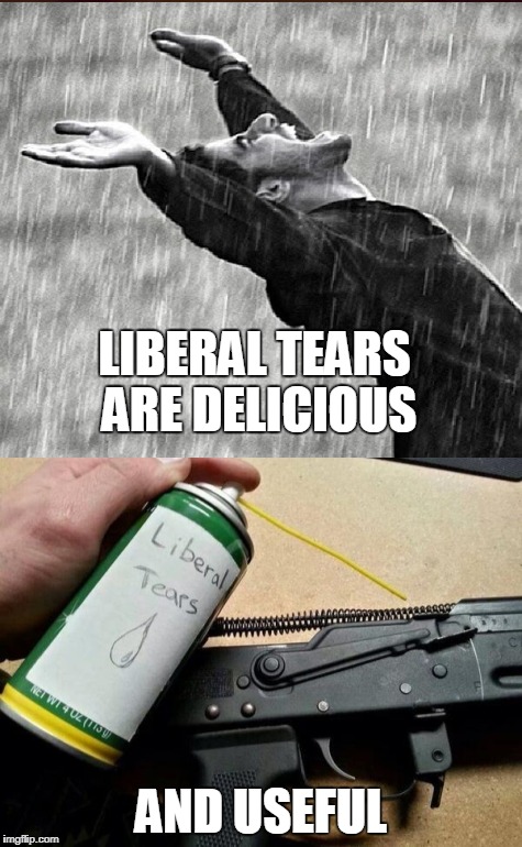 LIBERAL TEARS ARE DELICIOUS AND USEFUL | made w/ Imgflip meme maker