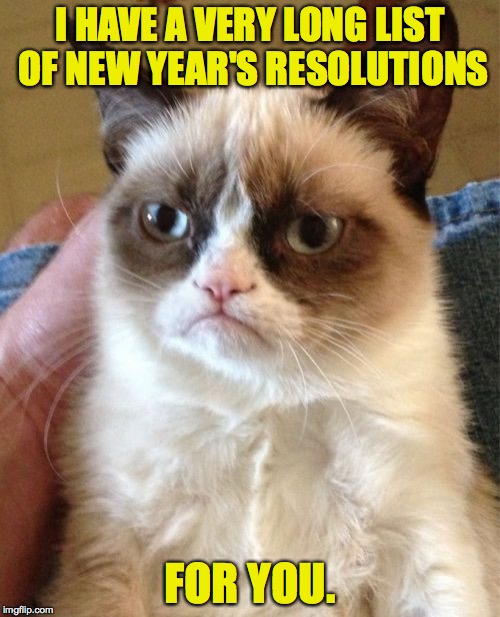 Grumpy Cat Meme | I HAVE A VERY LONG LIST OF NEW YEAR'S RESOLUTIONS; FOR YOU. | image tagged in memes,grumpy cat,new years resolutions | made w/ Imgflip meme maker