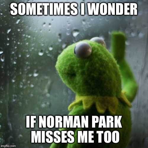 sometimes I wonder  | SOMETIMES I WONDER; IF NORMAN PARK MISSES ME TOO | image tagged in sometimes i wonder | made w/ Imgflip meme maker