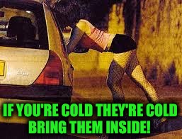 BRING THEM INSIDE! IF YOU'RE COLD THEY'RE COLD | made w/ Imgflip meme maker