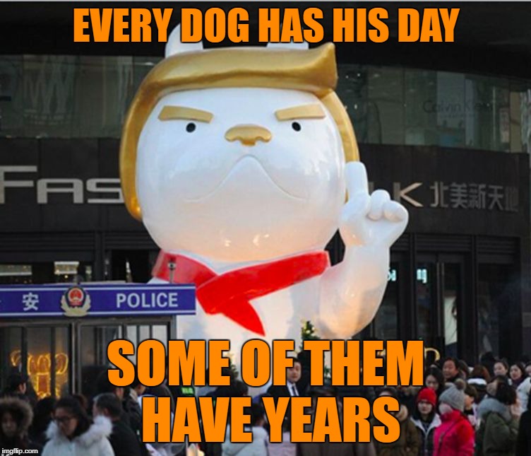 Trump 2018 : Year of the Dog | EVERY DOG HAS HIS DAY; SOME OF THEM HAVE YEARS | image tagged in trump2018,china,memes,donald trump,trump,donald trump approves | made w/ Imgflip meme maker