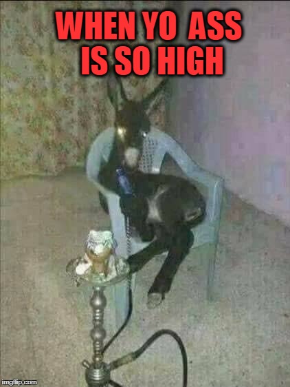 my ass is high | WHEN YO  ASS IS SO HIGH | image tagged in ass | made w/ Imgflip meme maker