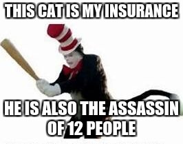 cat assasin | THIS CAT IS MY INSURANCE; HE IS ALSO THE ASSASSIN OF 12 PEOPLE | image tagged in cat assasin | made w/ Imgflip meme maker