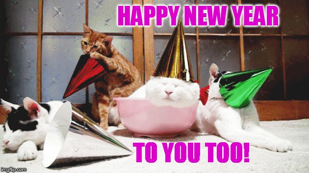 HAPPY NEW YEAR TO YOU TOO! | made w/ Imgflip meme maker