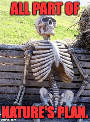 Waiting Skeleton Meme | ALL PART OF NATURE'S PLAN. | image tagged in memes,waiting skeleton | made w/ Imgflip meme maker