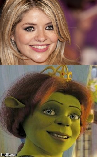 Photoshop a meme for you or make a celebrity look like shrek by