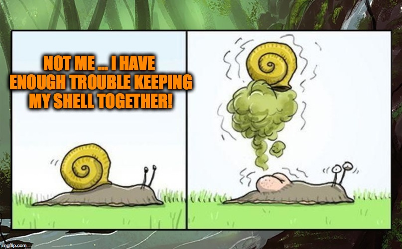NOT ME ... I HAVE ENOUGH TROUBLE KEEPING MY SHELL TOGETHER! | made w/ Imgflip meme maker