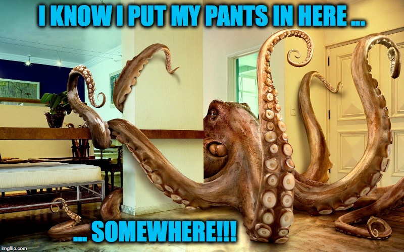 Wardrobe Issues | I KNOW I PUT MY PANTS IN HERE ... ... SOMEWHERE!!! | image tagged in octopus in the room | made w/ Imgflip meme maker