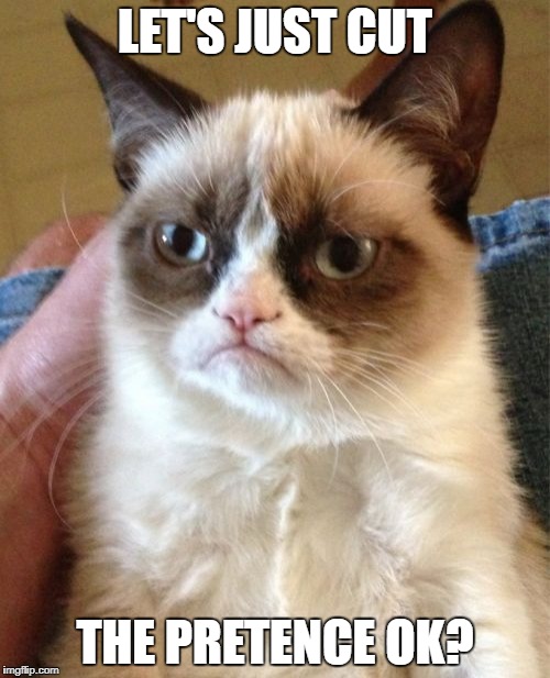 Grumpy Cat Meme | LET'S JUST CUT THE PRETENCE OK? | image tagged in memes,grumpy cat | made w/ Imgflip meme maker