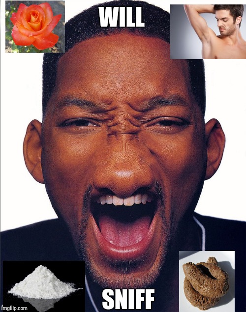 Shame he can't sniff out the sh*t movie script's tho | WILL; SNIFF | image tagged in will smith,sniff,nose,memes,bright,2018 | made w/ Imgflip meme maker
