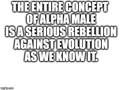Blank White Template | THE ENTIRE CONCEPT OF ALPHA MALE IS A SERIOUS REBELLION AGAINST EVOLUTION AS WE KNOW IT. | image tagged in blank white template | made w/ Imgflip meme maker