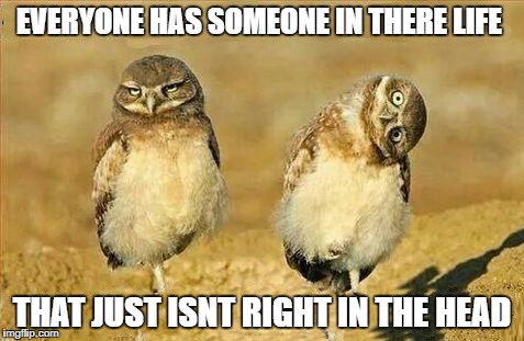 everyone has someone | EVERYONE HAS SOMEONE IN THERE LIFE; THAT JUST ISNT RIGHT IN THE HEAD | image tagged in featured | made w/ Imgflip meme maker