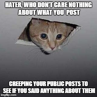Ceiling Cat Meme | HATER, WHO DON'T CARE NOTHING ABOUT WHAT YOU  POST; CREEPING YOUR PUBLIC POSTS TO SEE IF YOU SAID ANYTHING ABOUT THEM | image tagged in memes,ceiling cat | made w/ Imgflip meme maker