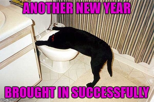 Hope you all had a great time bringing in the New Year!!!! | ANOTHER NEW YEAR; BROUGHT IN SUCCESSFULLY | image tagged in happy new year,memes,funny,dogs,animals,2018 | made w/ Imgflip meme maker