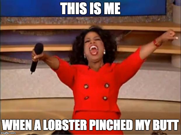 Oprah You Get A | THIS IS ME; WHEN A LOBSTER PINCHED MY BUTT | image tagged in memes,oprah you get a | made w/ Imgflip meme maker