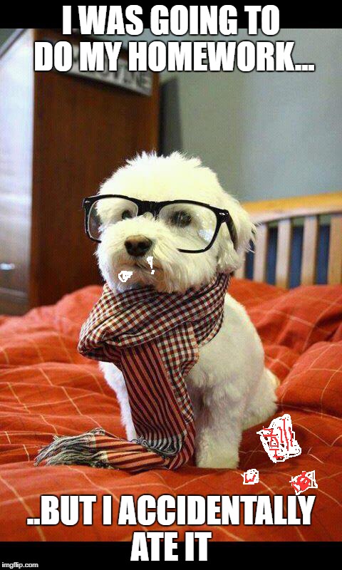 Intelligent Dog | I WAS GOING TO DO MY HOMEWORK... ..BUT I ACCIDENTALLY ATE IT | image tagged in memes,intelligent dog | made w/ Imgflip meme maker
