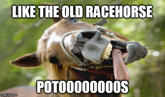 LIKE THE OLD RACEHORSE POT00000000S | made w/ Imgflip meme maker