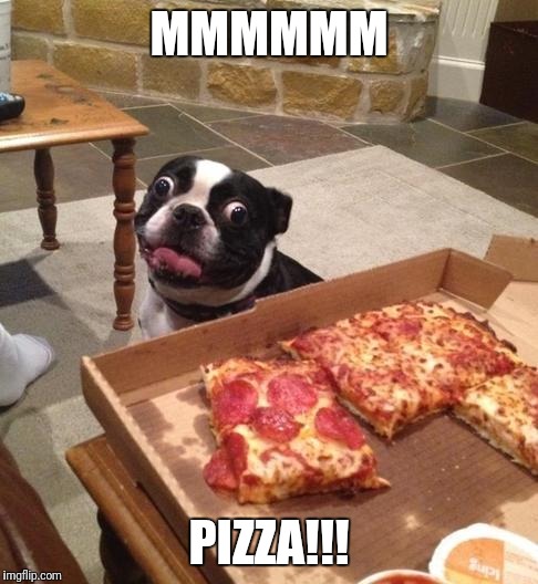 Hungry Pizza Dog |  MMMMMM; PIZZA!!! | image tagged in hungry pizza dog | made w/ Imgflip meme maker